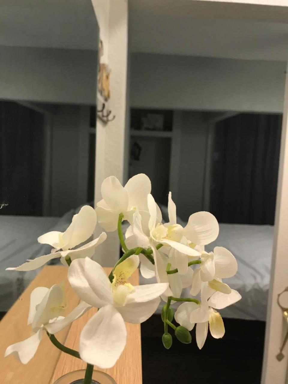 Abacus Jamaica The Zana Suites Кингстон Экстерьер фото